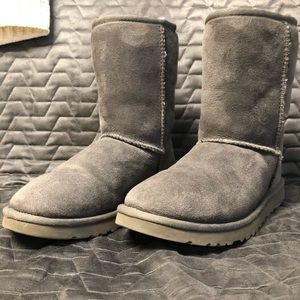 Gray Classic Ugg Boots EU